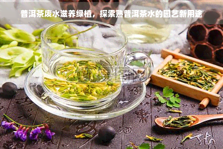 普洱茶废水滋养绿植，探索熟普洱茶水的园艺新用途