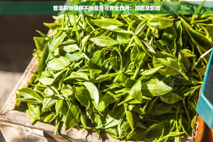 普洱茶饼保存不当是否可安全饮用：原因及影响