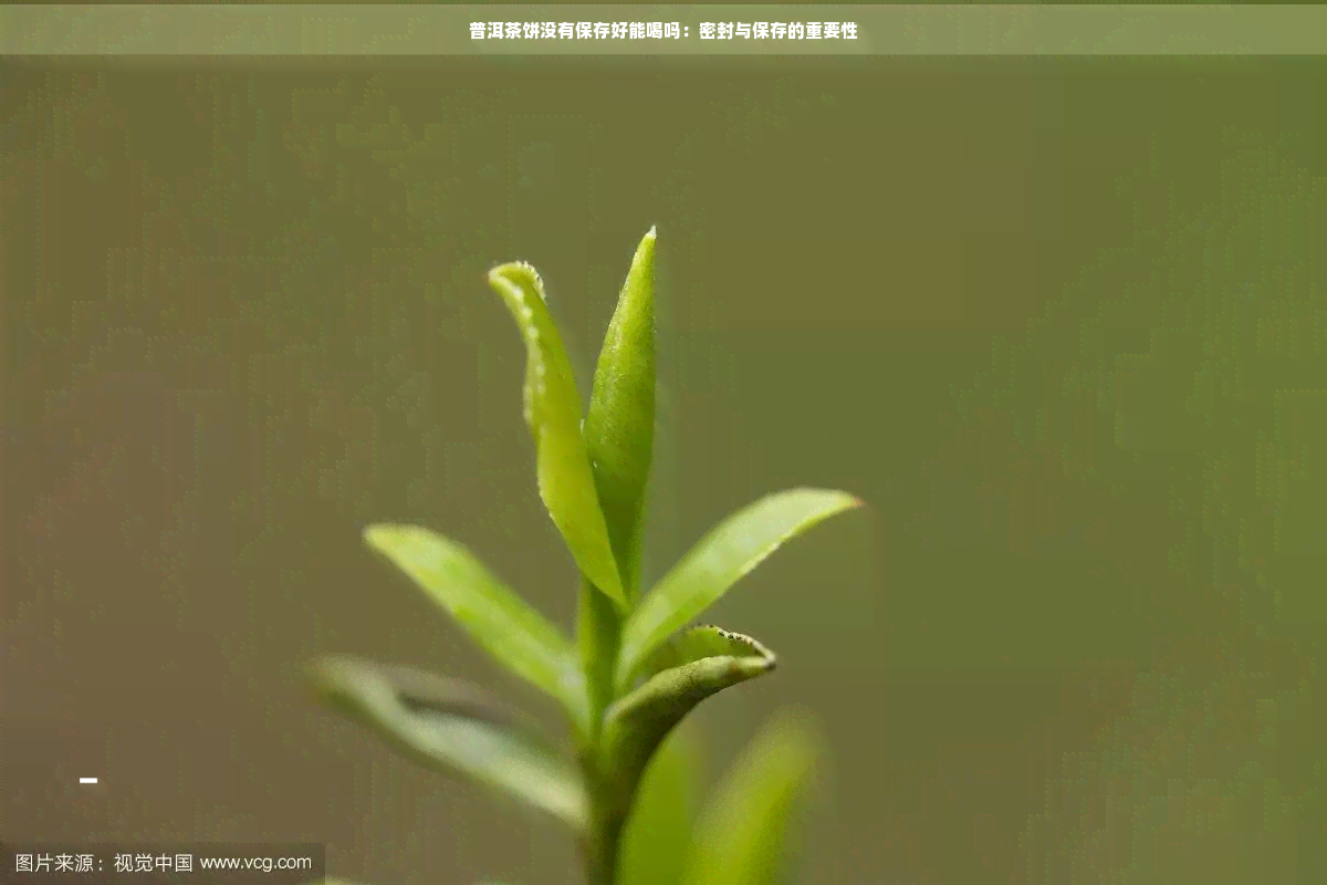 普洱茶饼没有保存好能喝吗：密封与保存的重要性