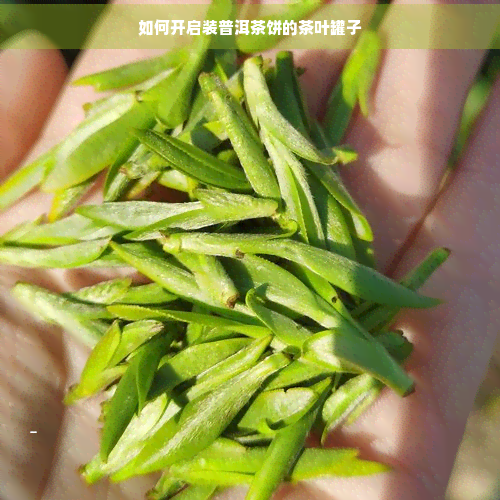 如何开启装普洱茶饼的茶叶罐子