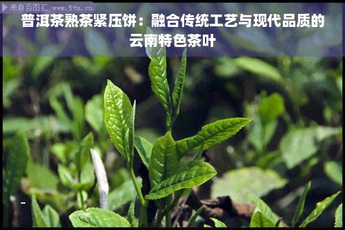 普洱茶熟茶紧压饼：融合传统工艺与现代品质的云南特色茶叶