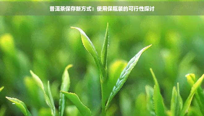 普洱茶保存新方式：使用保瓶装的可行性探讨