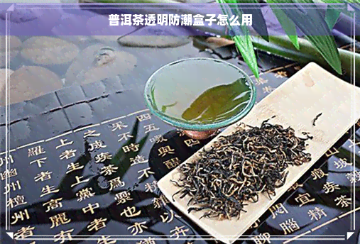 普洱茶透明防潮盒子怎么用