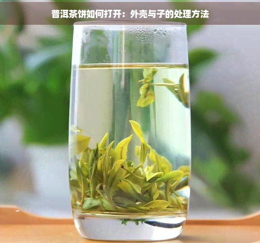 普洱茶饼如何打开：外壳与子的处理方法