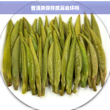 普洱茶保存度高会坏吗