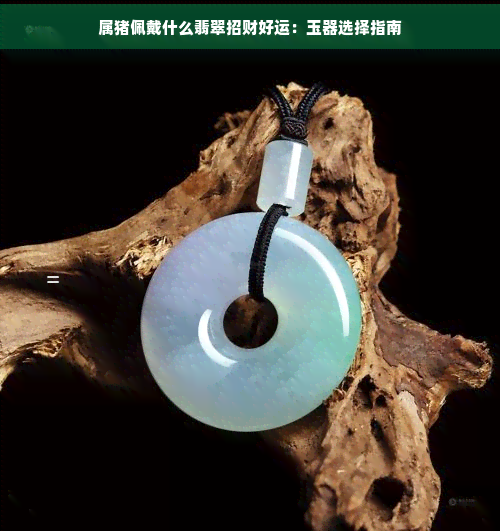 属猪佩戴什么翡翠招财好运：玉器选择指南