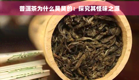 普洱茶为什么臭臭的：探究其怪味之源