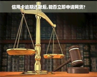 信用卡逾期还款后,能否立即申请网贷?