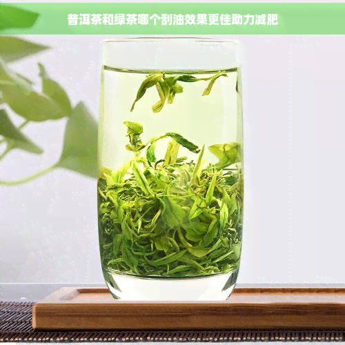 普洱茶和绿茶哪个刮油效果更佳助力减肥