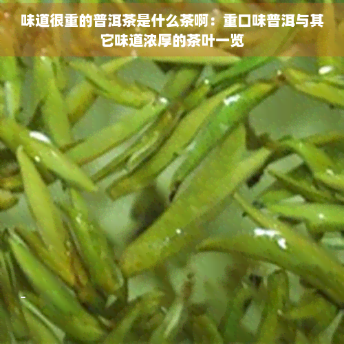 味道很重的普洱茶是什么茶啊：重口味普洱与其它味道浓厚的茶叶一览