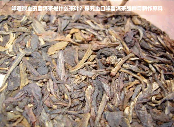 味道很重的普洱茶是什么茶叶？探究重口味普洱茶品种与制作原料