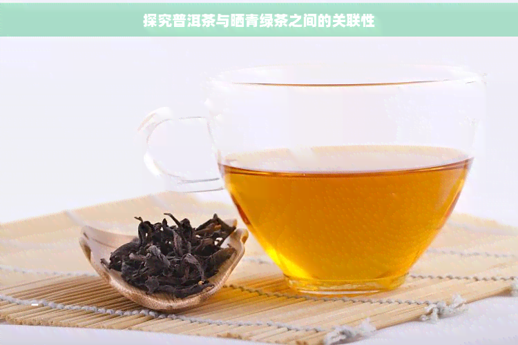 探究普洱茶与晒青绿茶之间的关联性