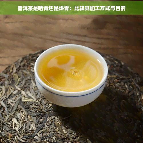 普洱茶是晒青还是烘青：比较其加工方式与目的