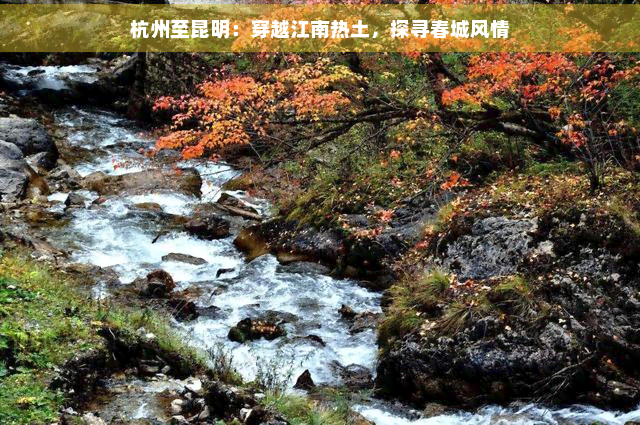 杭州至昆明：穿越江南热土，探寻春城风情