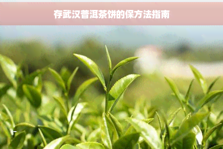 存武汉普洱茶饼的保方法指南