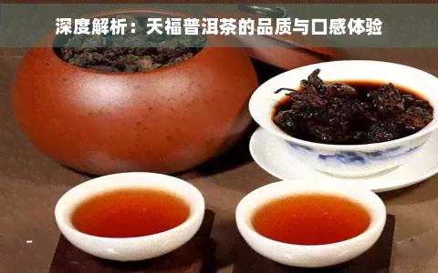 深度解析：天福普洱茶的品质与口感体验