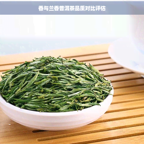 香与兰香普洱茶品质对比评估