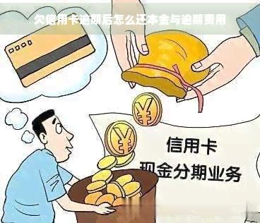 欠信用卡逾期后怎么还本金与逾期费用