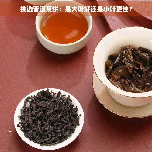 挑选普洱茶饼：是大叶好还是小叶更佳？