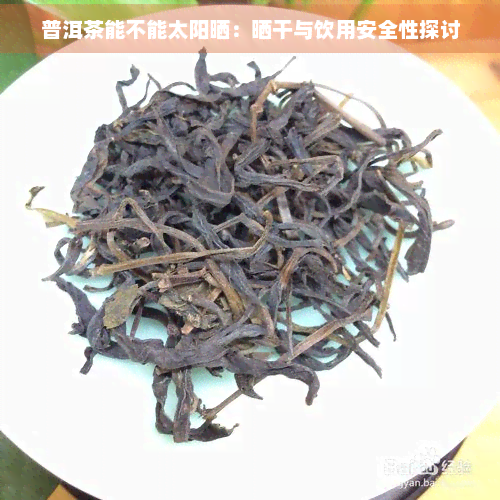 普洱茶能不能太阳晒：晒干与饮用安全性探讨