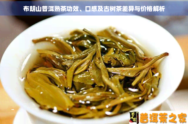 布朗山普洱熟茶功效、口感及古树茶差异与价格解析