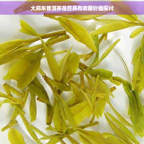 大邦东普洱茶是否具有收藏价值探讨