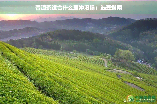 普洱茶适合什么壶冲泡喝：选壶指南