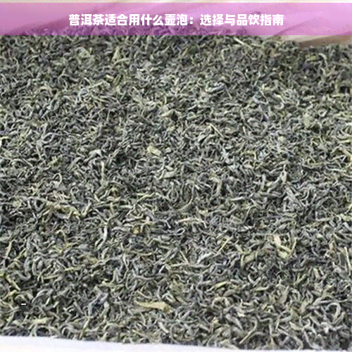 普洱茶适合用什么壶泡：选择与品饮指南