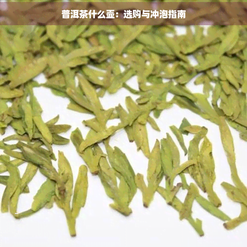 普洱茶什么壶：选购与冲泡指南