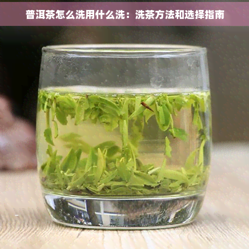 普洱茶怎么洗用什么洗：洗茶方法和选择指南