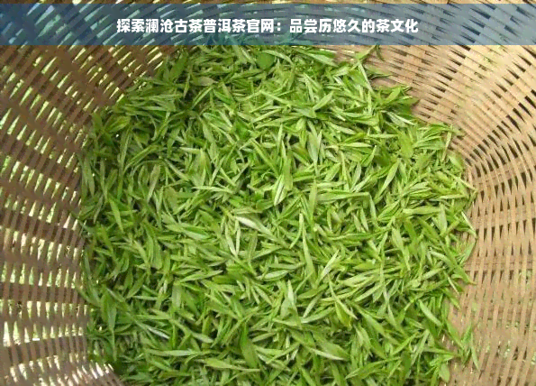 探索澜沧古茶普洱茶官网：品尝历悠久的茶文化