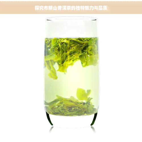 探究布朗山普洱茶的独特魅力与品质