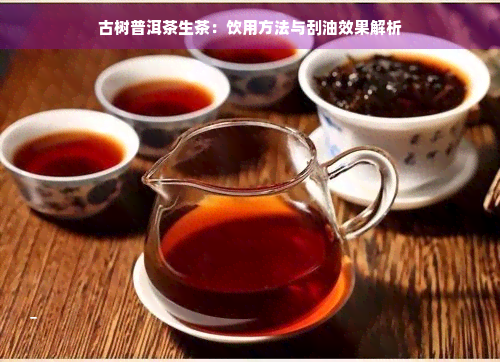 古树普洱茶生茶：饮用方法与刮油效果解析