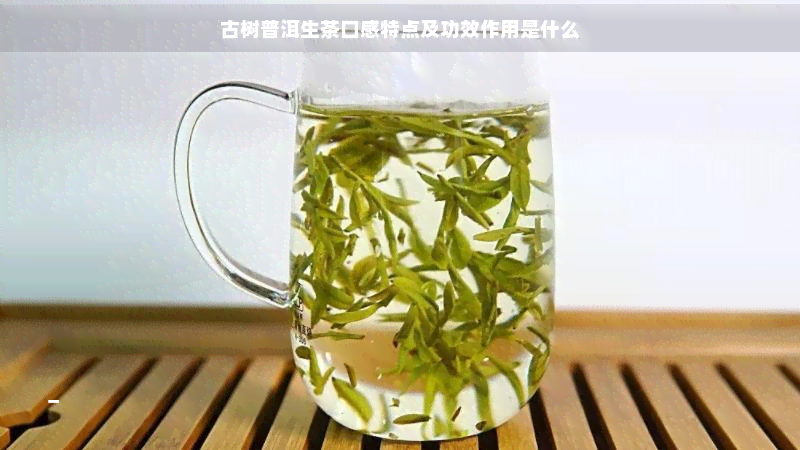 古树普洱生茶口感特点及功效作用是什么