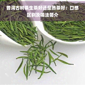 普洱古树茶生茶好还是熟茶好：口感区别及喝法简介