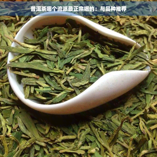 普洱茶哪个流派最正宗喝的：与品种推荐