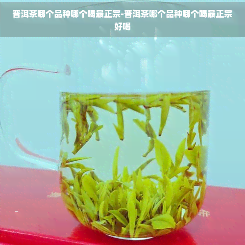 普洱茶哪个品种哪个喝最正宗-普洱茶哪个品种哪个喝最正宗好喝