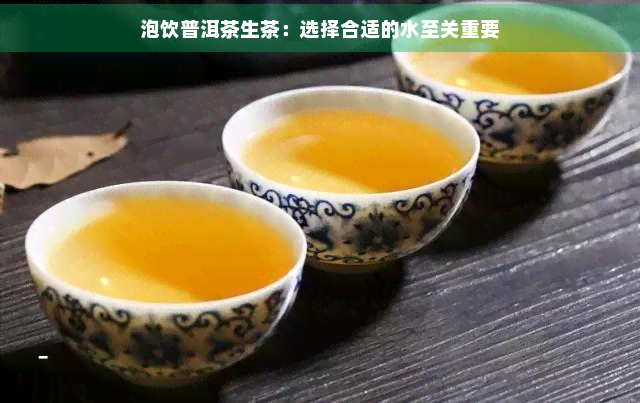 泡饮普洱茶生茶：选择合适的水至关重要