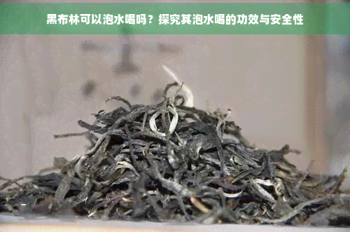 黑布林可以泡水喝吗？探究其泡水喝的功效与安全性