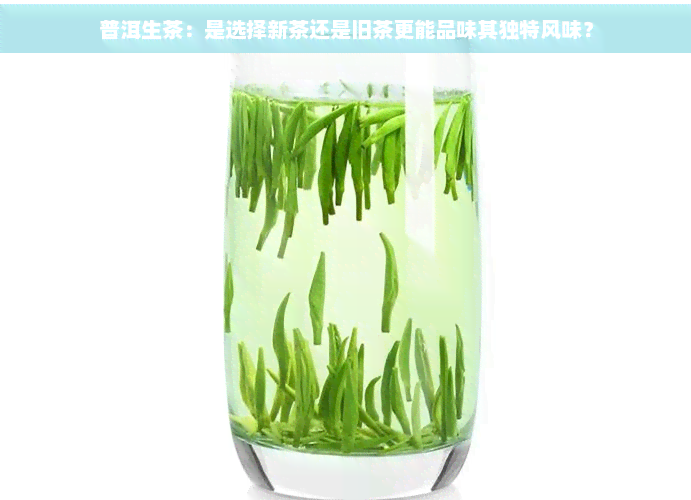 普洱生茶：是选择新茶还是旧茶更能品味其独特风味？