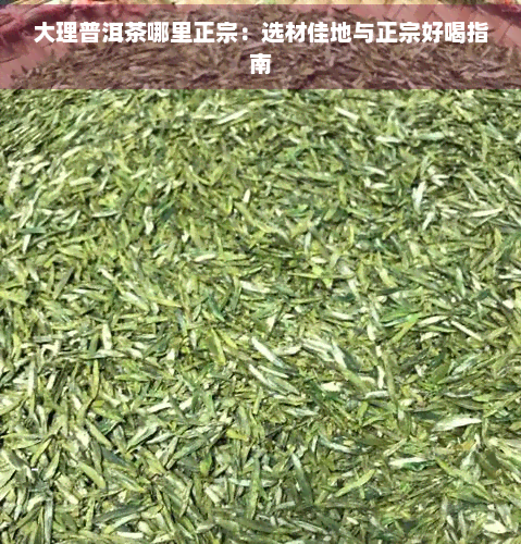 大理普洱茶哪里正宗：选材佳地与正宗好喝指南