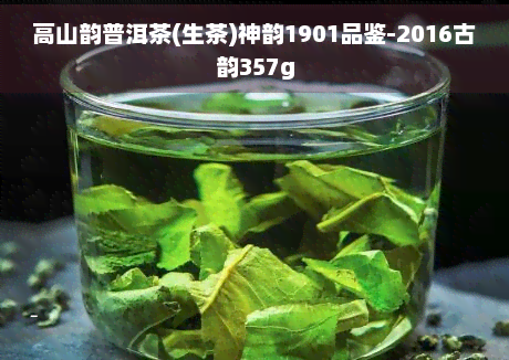 高山韵普洱茶(生茶)神韵1901品鉴-2016古韵357g