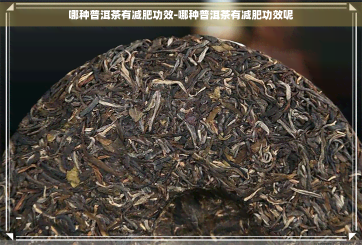 哪种普洱茶有减肥功效-哪种普洱茶有减肥功效呢