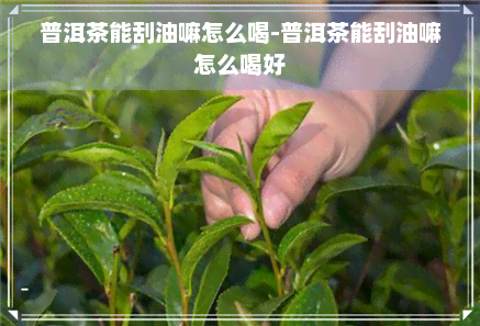 普洱茶能刮油嘛怎么喝-普洱茶能刮油嘛怎么喝好