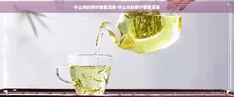 什么样的茶叶做普洱茶-什么样的茶叶做普洱茶