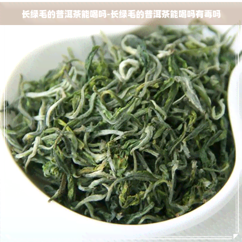 长绿毛的普洱茶能喝吗-长绿毛的普洱茶能喝吗有吗