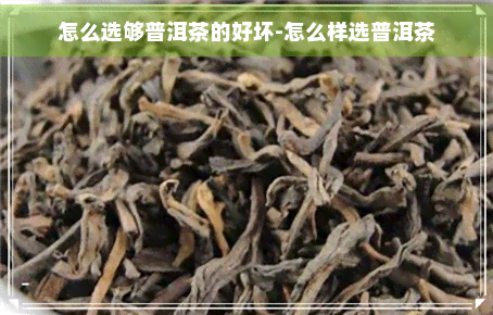 怎么选够普洱茶的好坏-怎么样选普洱茶