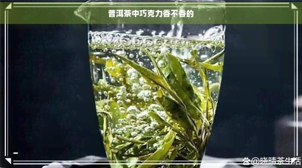 普洱茶中巧克力香不香的