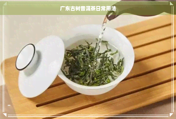 广东古树普洱茶日常用法