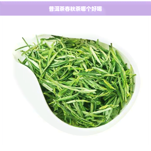 普洱茶春秋茶哪个好喝